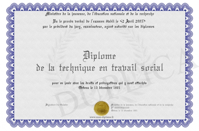 diplome travailleur social